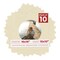 Plume Beige Mat Board for 16x16 Frames - Circle Opening for 10x10 Photos